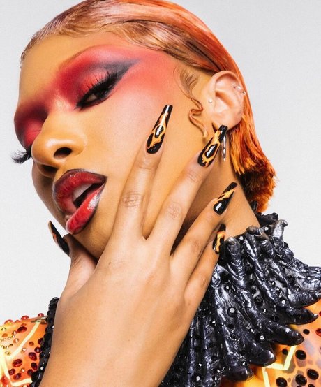 Megan Thee Stallion kunst nette galerie