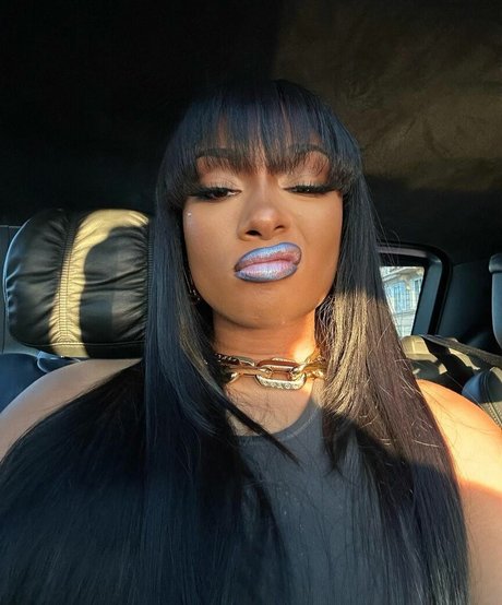 Megan Thee Stallion perfekte xxx bild