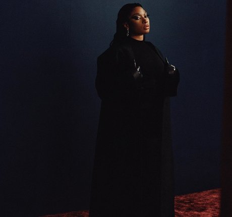 Megan Thee Stallion porno top bild