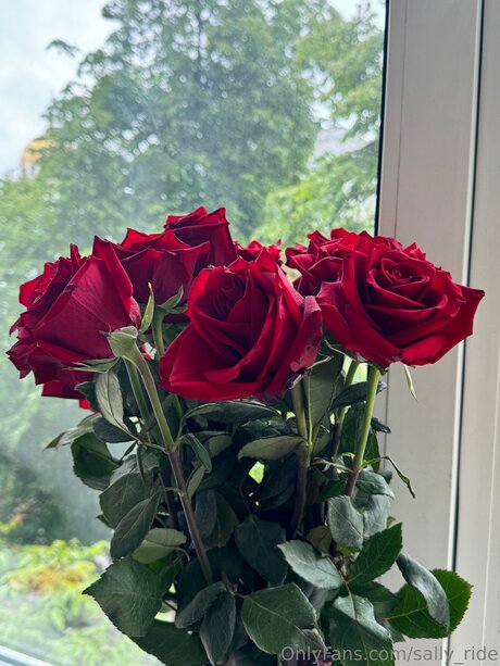 sexszene nur fans heiße hübsche fotos