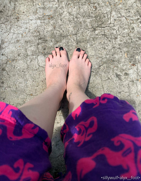 tinykittie kunst bild