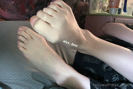 tinykittie hd hübsche foto