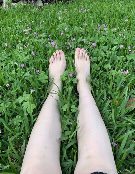 tinykittie kostenlose schöne galerien