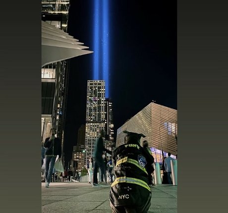 amyanderssen schauspielerin schöne foto