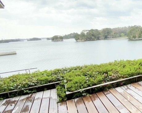 koteno11262 schöne beste galerien