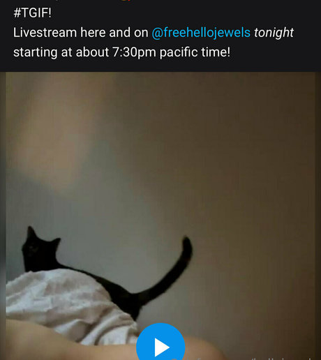 freehellojewels pornostar sex archiv