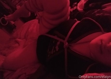 evelynmusefree kunst archiv