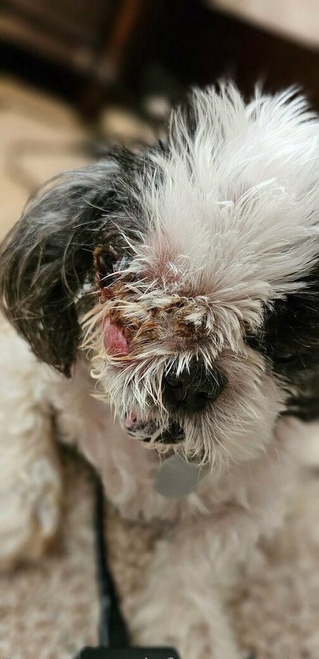 rimming onlyfans kunst beste fotos