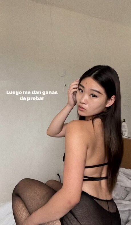 jassboo ty beste top galerie