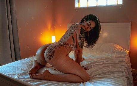 likethebugortheletter top hd fotos