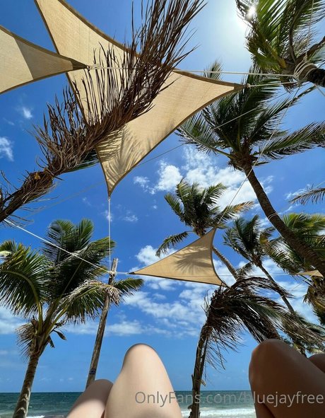 bluejayfree model schöne archiv