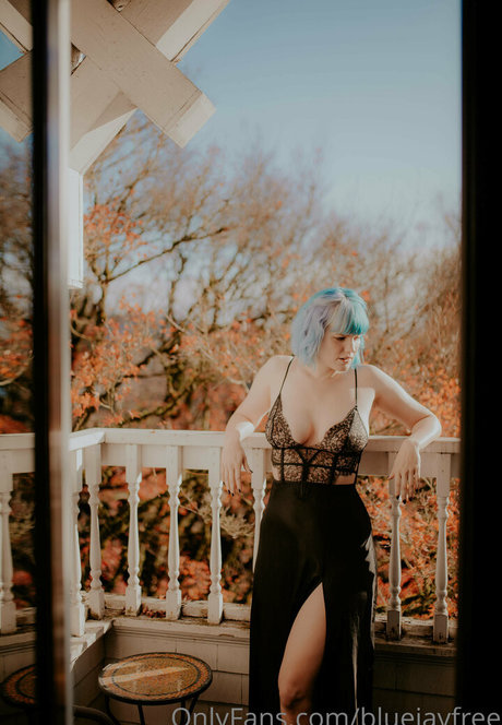 bluejayfree perfekte kunst galerien