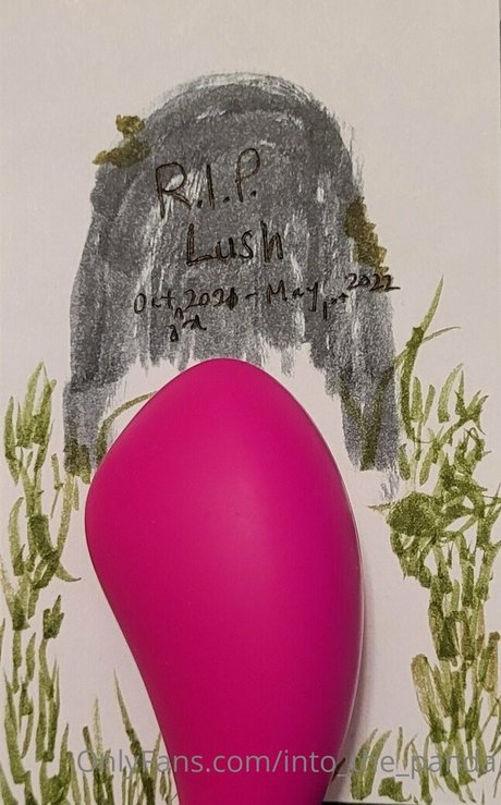 into the panda schauspielerin exklusive foto