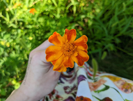 lucylarue model akt galerien