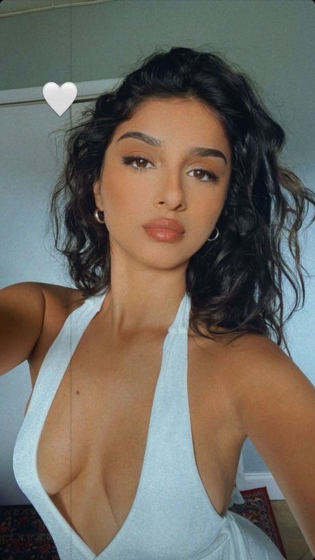 Hirashayk beste kunst galerie