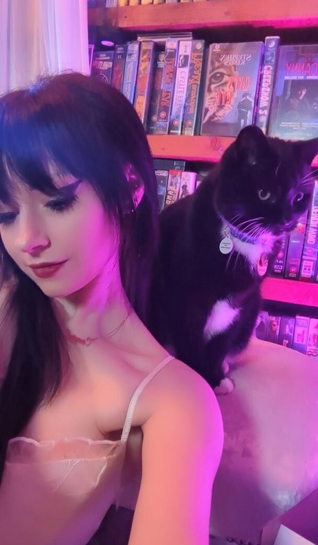 fansly onlyfans beste erwachsene foto