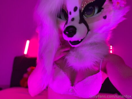 dicke trans-onlyfans exklusive heiße foto