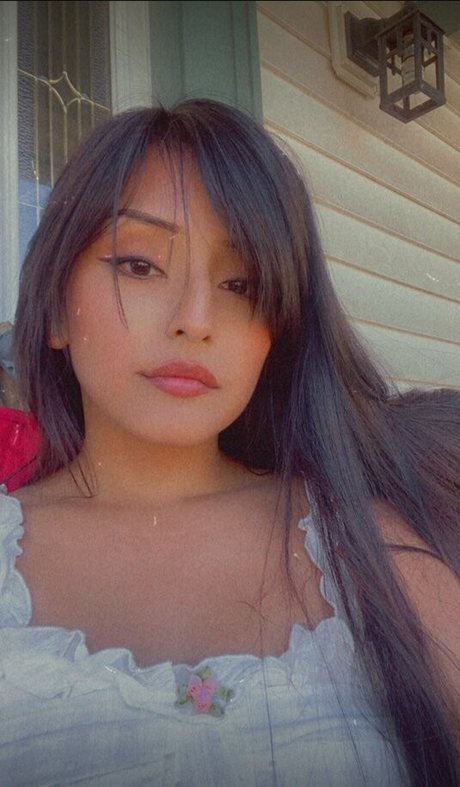 kleiner schwanz nur fans hd freie foto