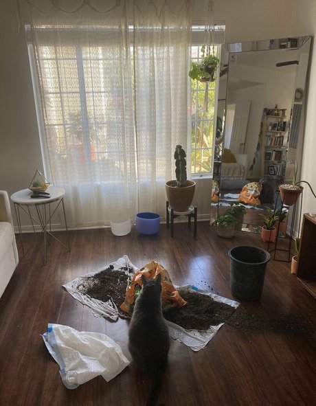 asmr onlyfans kostenlose kunst bild