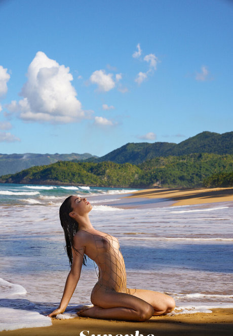 nur fans mit großem hintern sexy porno bild