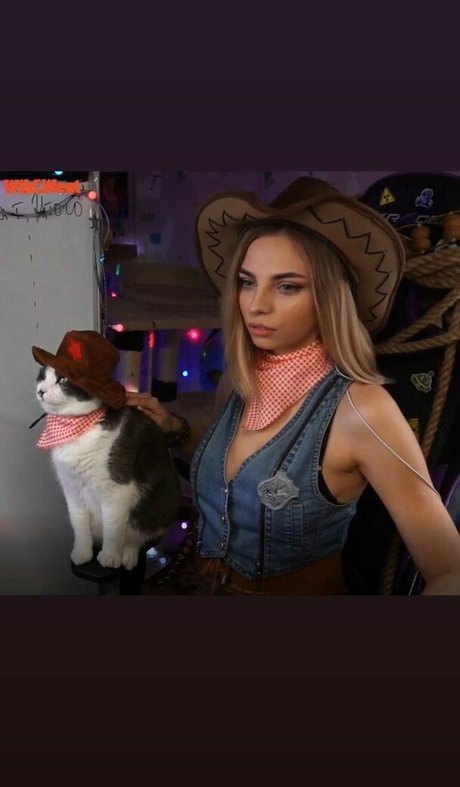 hase nur fans hd exklusive bild