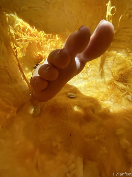 wunderschöne milf onlyfans hd freie galerien