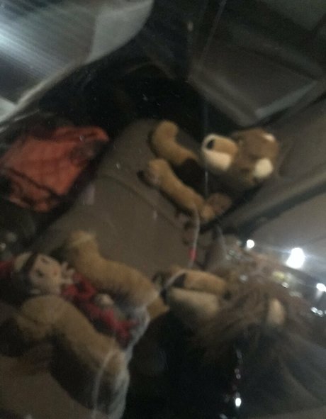 Kristie Bish schauspielerin exklusive archiv