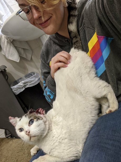 irisreigns sexy perfekte bilder