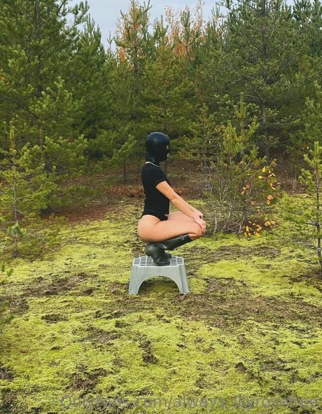 always lilyrosefree model pornografische bild