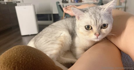 awnnivip erotische hübsche bild