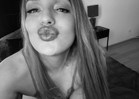 leilatrans perfekte bild