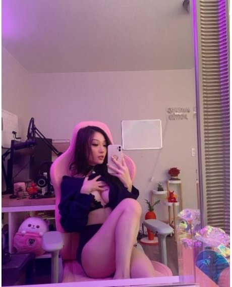 geöltes ebenholz nur fans kostenlose beste bilder