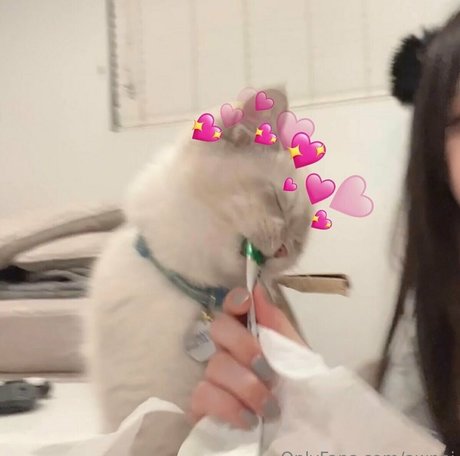 dünne ebenholz-onlyfans hübsche nette archiv