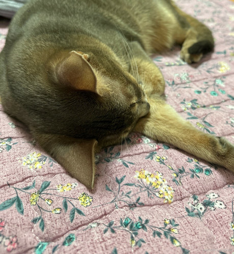 pov onlyfans freie sexy archiv