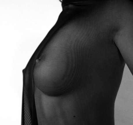 lavalexi vip kunst schöne galerie