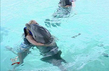 Trish Stratus xxx schöne galerien