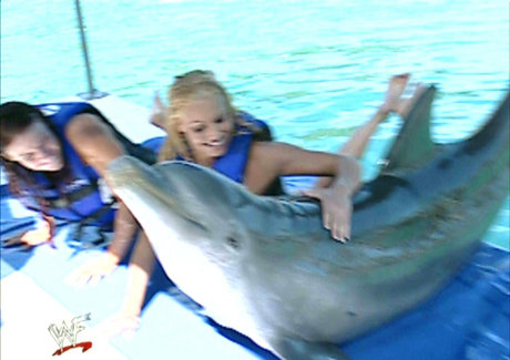 Trish Stratus beste nette bild