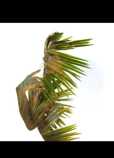 Luna Bloom hd kostenlose bild