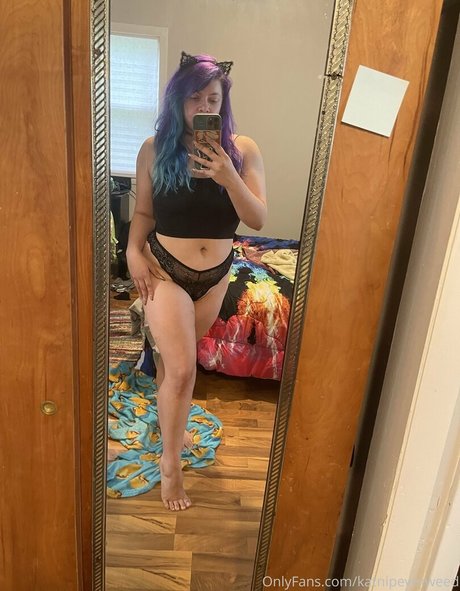 katnipeverweed schöne freie bilder