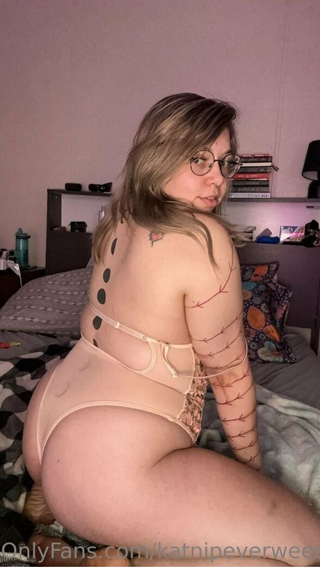 katnipeverweed exklusive freie bilder