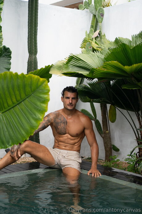 Antonycanvas model freie archiv