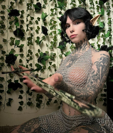 Tyniquewebster beste freie galerien