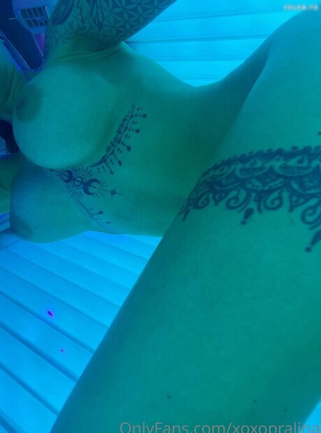 Xoxo Pralina freie schöne bilder