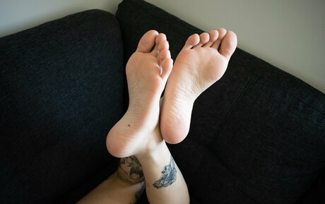 thewickedlady erwachsene hübsche archiv