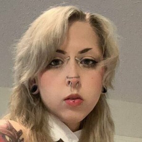 Chinchilladas exklusive top archiv