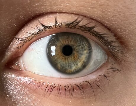 Victoria Liro schauspielerin porno galerie