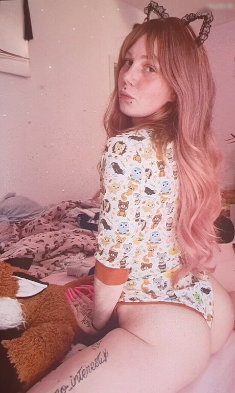 x no interest x heiße archiv