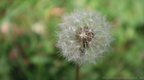 rothaarige gesichtsbehandlung onlyfans nackt nette galerien