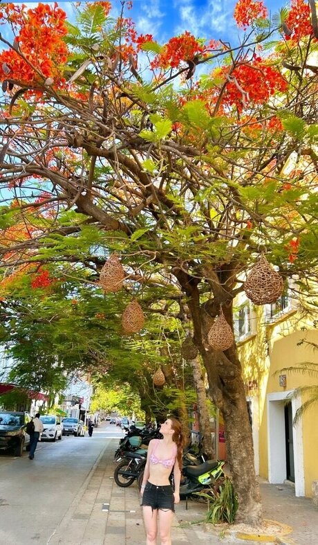 journalisten-onlyfans porno schöne bild