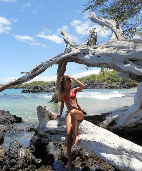 Lauren Avelina top schöne galerien